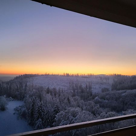 Appartement Zur Bergoase Mi Schwimmbad Hohegeiss Bagian luar foto