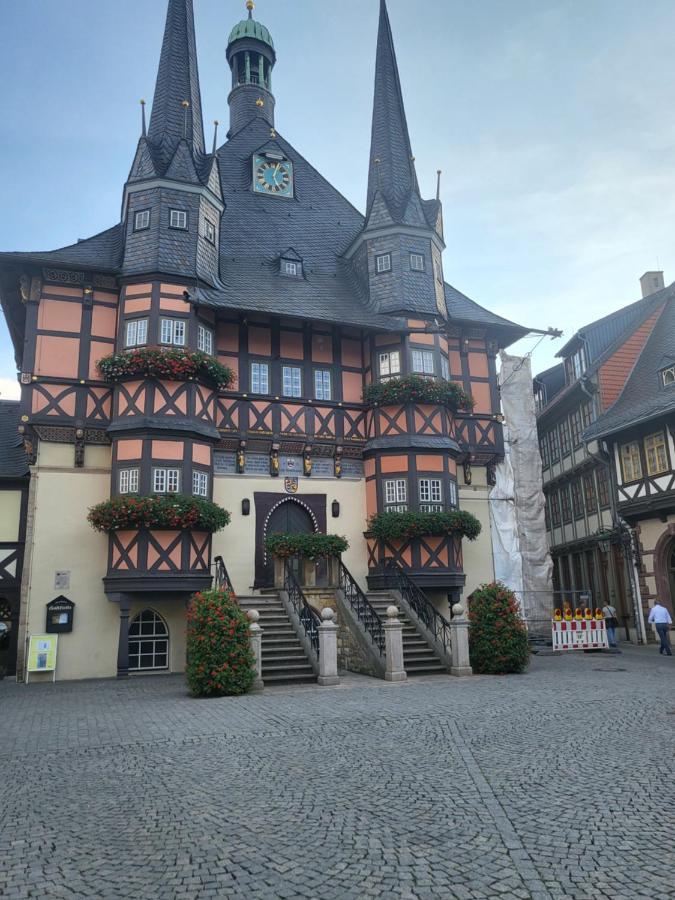 Appartement Zur Bergoase Mi Schwimmbad Hohegeiss Bagian luar foto